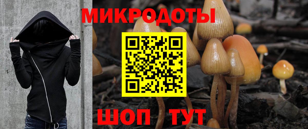 Псилоцибиновые грибы GOLDEN TEACHER Вятские Поляны