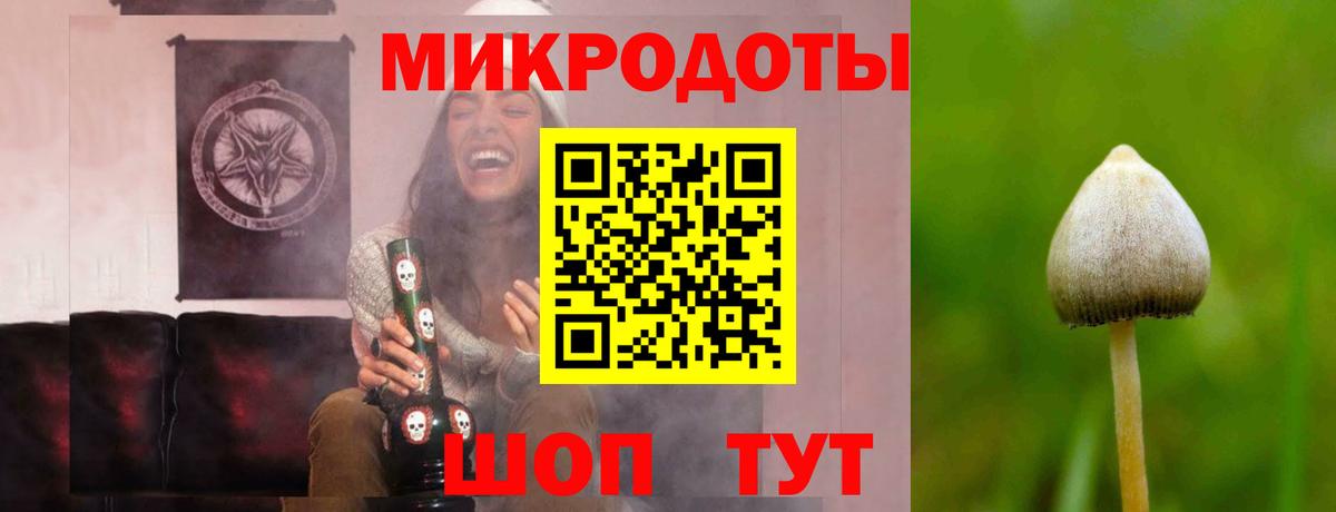 Вятские Поляны  Галлюциногенные грибы мухоморы  Вход с VPN 